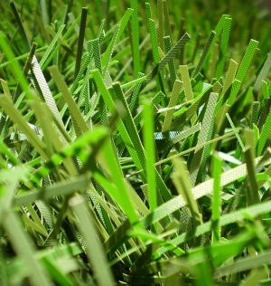 um�l� v�no�n� strome�ek na v�noce